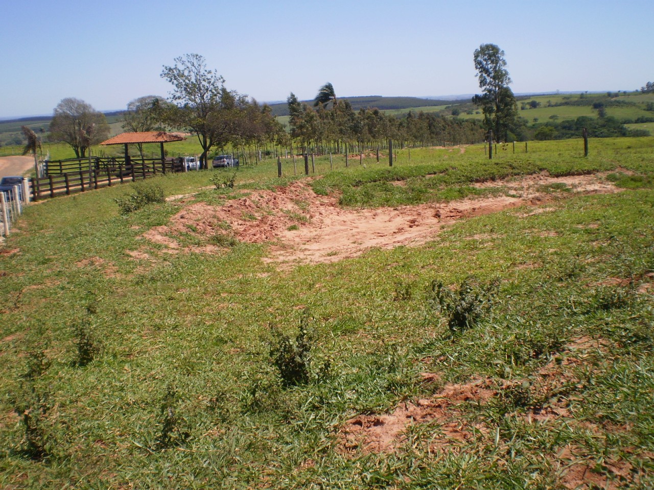 SITE TIM PAULISTÂNIA